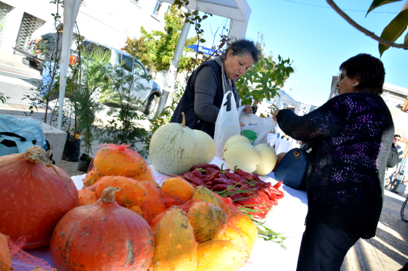 Exporural de Talca funcionará este miércoles y jueves en la Plaza Cienfuegos