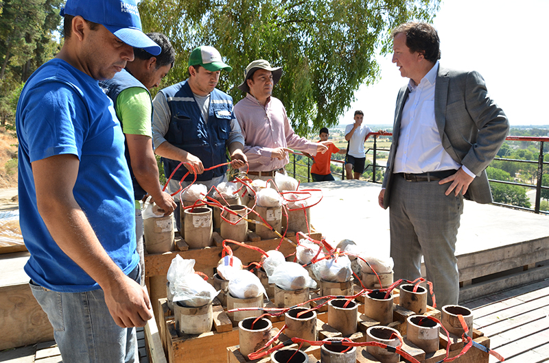 Todo listo para la fiesta de Año Nuevo en Talca