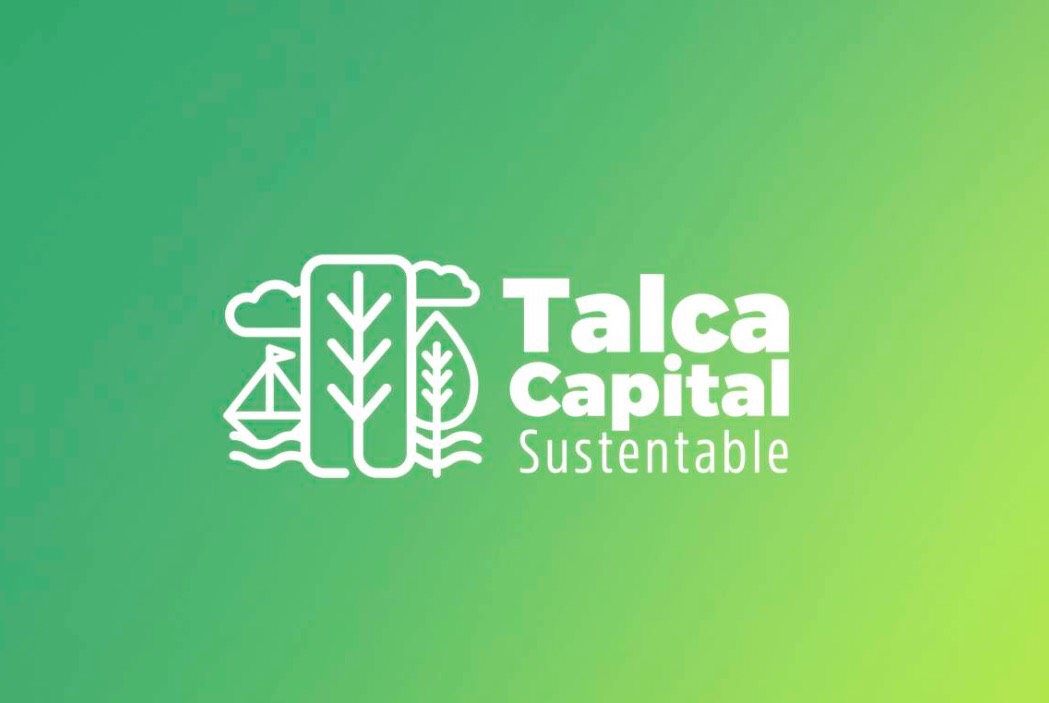 Concejo Municipal de Talca aprueba programa de reducción de bolsas plásticas