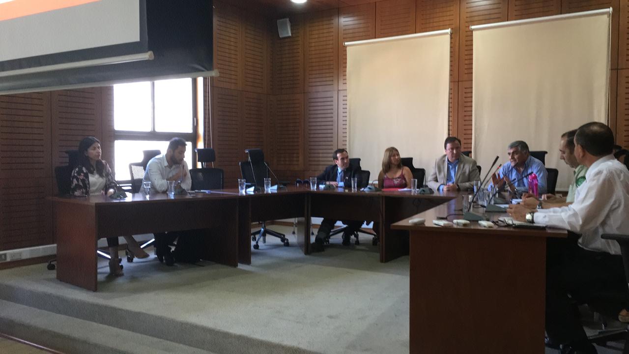 Consejo Comunal de Seguridad Pública revisa sus principales obligaciones en primera sesión 2019