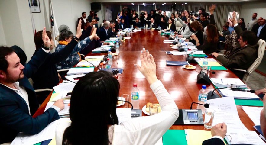 WhatsApp Image 2019-08-21 at 12.11.07