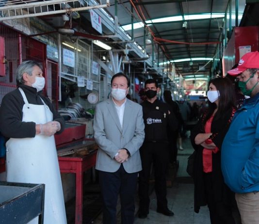 Aprueban adjudicación de proyecto de remodelación del CREA en Talca