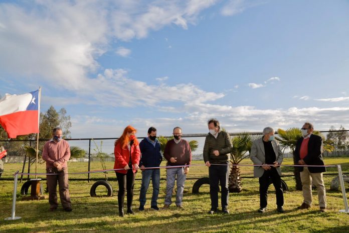 WhatsApp Image 2020-10-11 at 15.34.35