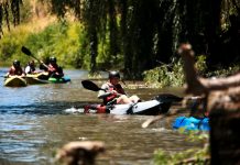 Alcalde realiza travesía en kayak por estero Piduco para analizar las potencialidades turísticas y ambientales