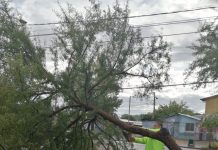 Equipos municipales de emergencia atendieron requerimientos en distintos puntos de la ciudad producto de las lluvias