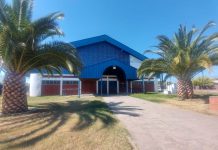 Municipalidad de Talca habilitará gimnasio Cendyr Sur para pago rezagado de permisos de circulación