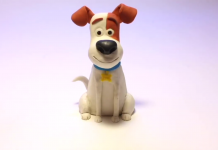 Tenencia Responsable de Mascotas