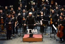Orquesta Clásica del Maule vuelve a los escenarios en celebración de los 16 años de TRM
