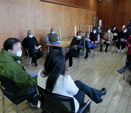 Feria de las Pulgas de Talca volverá a funcionar con normalidad a contar de este fin de semana