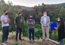 Municipalidad de Talca ingresó solicitud para declarar humedales urbanos al cajón del río Claro