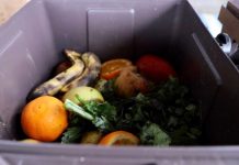 Talca redujo su huella de carbono en 36 toneladas de CO2 gracias a plan piloto de gestión de residuos orgánicos