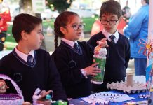 Talca a la vanguardia: recicla desde aceite doméstico hasta desechos domiciliarios