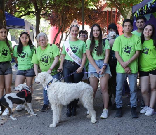 Exitoso “Patitas Fest” de la Municipalidad de Talca reunió ayuda para el Refugio San Francisco de Asis