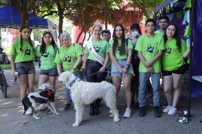 WhatsApp Image 2023-11-25 at 21.11.28