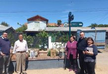 Tercer Juzgado de Policía Local donó árboles nativos a Junta de Vecinos