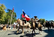 CON TE DEUM Y DESFILE DEL EJÉRCITO SE CONMEMORÓ LA FIRMA DE LA INDEPENDENCIA DE CHILE