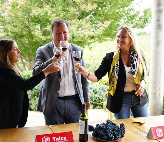 Más de 30 viñas del Maule serán las protagonistas en el Boulevard del Vino 2024