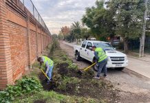Municipalidad de Talca despliega amplio operativo previo a las lluvias de fin de semana