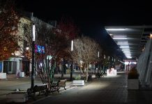 Con foco en la seguridad: Municipalidad de Talca mejorará luminarias en Alameda y centro de la ciudad
