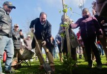 Municipalidad de Talca y agrupación CENEU: Con 50 árboles nativos reforestan Parque Padre Hurtado