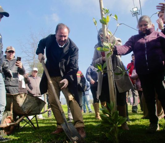 Municipalidad de Talca y agrupación CENEU: Con 50 árboles nativos reforestan Parque Padre Hurtado