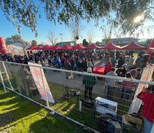 Reciclaje y servicios sociales marcaron despliegue de la Municipalidad de Talca