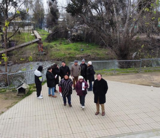 Luz verde para construcción de pasarela peatonal sobre el Piduco en calle 9 oriente