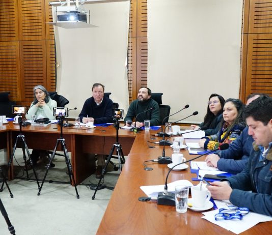 Concejo Municipal de Talca aprobó la compra de calefactores para las salas de clases de los recintos municipales