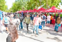 Municipalidad de Talca desarrolló feria laboral con más de 2.300 puestos de trabajo disponibles del sector público y privado