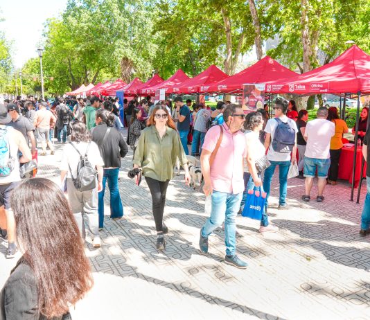 Municipalidad de Talca desarrolló feria laboral con más de 2.300 puestos de trabajo disponibles del sector público y privado