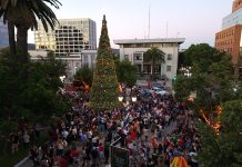 Municipalidad de Talca llenó de ambiente navideño con el encendido de luces del árbol en Plaza de Armas