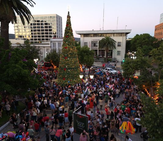 Municipalidad de Talca llenó de ambiente navideño con el encendido de luces del árbol en Plaza de Armas