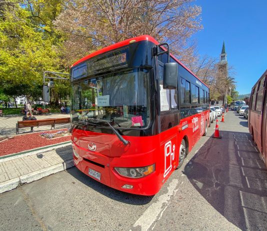 Los “buses rojos” de cumpleaños: Cuatro años cumple el sistema de transporte gratuito de Talca con más de 500 mil usuarios movilizados