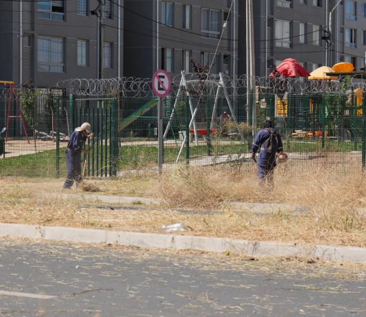 Municipalidad de Talca ha desbrozado más de 800 mil metros cuadrados como medida preventiva de incendios