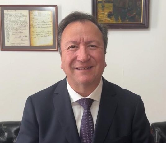 Los desafíos de Talca para preservar su humedal urbano y las implicancias favorables para la ciudad