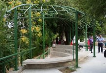 Municipalidad de Talca y Club del Árbol inauguran nuevo Parque Pablo Neruda