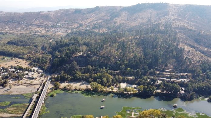 WhatsApp Image 2025-03-21 at 17.52.43