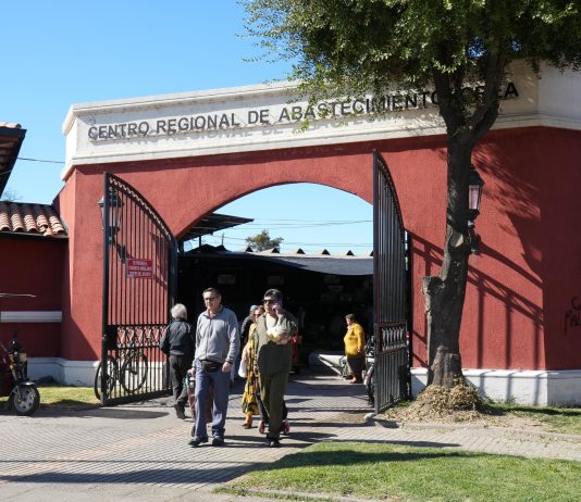 Municipalidad de Talca informa horarios especiales del CREA y otros servicios municipales por Semana Santa