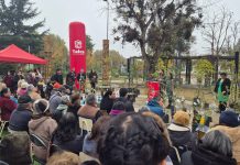 Municipalidad de Talca conmemoró el Día Mundial del Medio Ambiente con la plantación de 50 árboles en el Parque Piduco