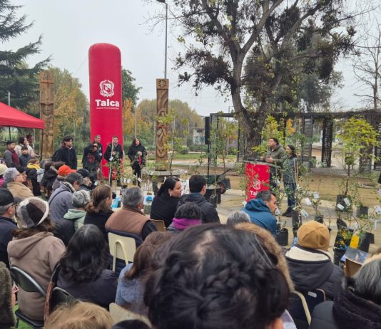 Municipalidad de Talca conmemoró el Día Mundial del Medio Ambiente con la plantación de 50 árboles en el Parque Piduco