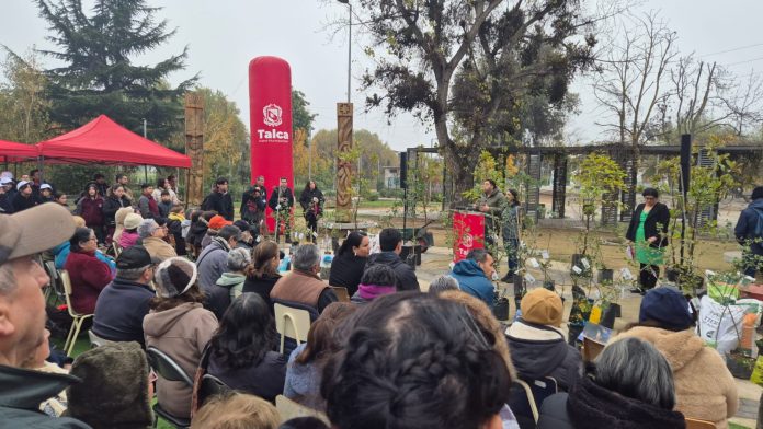 WhatsApp Image 2025-06-05 at 17.08.05 (1)