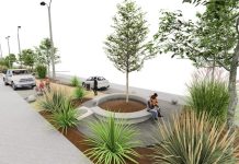 Población Cancha Rayada contará con un renovado bandejón central gracias a proyecto elaborado por el municipio de Talca