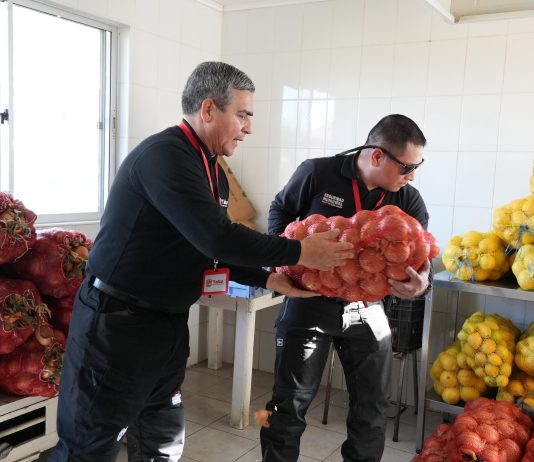 Operativo de seguridad municipal en Talca convirtió decomisos de comercio ilegal en ayuda solidaria para hogares y fundaciones