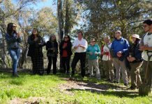 Talca reforesta su Bosque Municipal a través de 7 mil 500 árboles nativos