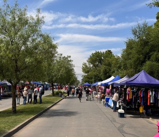 Municipalidad de Talca anuncia detalles de la tradicional Feria de Todos los Santos 2025