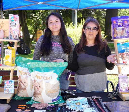 Feria anual de Mujeres Jefas de Hogar: un éxito en la Plaza de Armas de Talca