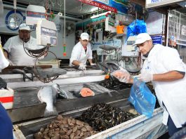 Talca se prepara para Semana Santa con horarios especiales en sus principales servicios