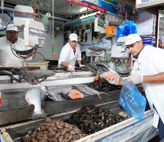 Talca se prepara para Semana Santa con horarios especiales en sus principales servicios