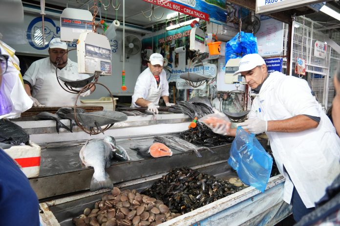 WhatsApp Image 2026-03-31 at 15.47.34