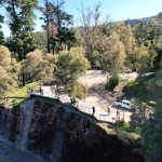 Talca cuenta con nueva ordenanza para el cuidado y protección de su Parque Bosque Municipal